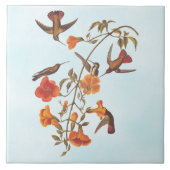 オレンジ色のトランペットの花とマングローブのハミングバード タイル (正面)