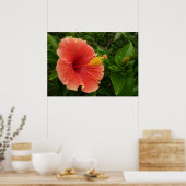 オレンジ色のハイビスカスの花 トロピカル フラワー ポスター (キッチン)