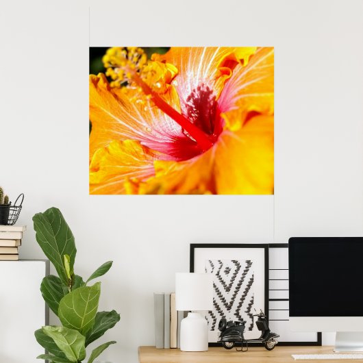 オレンジ色のハイビスカスの花 横からの見た目 30x24 ポスター (ホームオフィス)