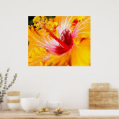 オレンジ色のハイビスカスの花 横からの見た目 30x24 ポスター (キッチン)