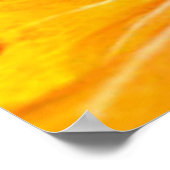 オレンジ色のハイビスカスの花 横からの見た目 30x24 ポスター (角)