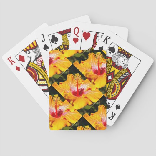 オレンジ色のハイビスカスの花 横から見た図 トランプ (裏面)