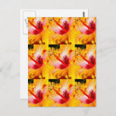 オレンジ色のハイビスカスの花・横向き ポストカード (正面/裏面)