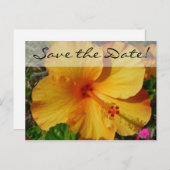 オレンジ色のハイビスカス*日付の保存 案内ポストカード (正面/裏面)
