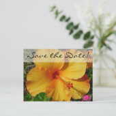 オレンジ色のハイビスカス*日付の保存 案内ポストカード (スタンド正面)