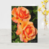 オレンジ色のバラの花 カード (黄色い花)
