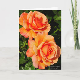オレンジ色のバラの花 カード