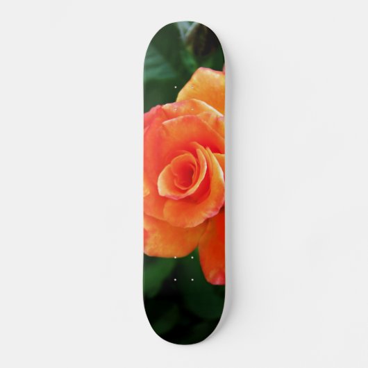 オレンジ色のバラの花 スケートボード (正面)