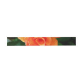 オレンジ色のバラの花 招待状ベリーバンド (フラット)