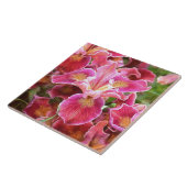 オレンジ色のピンクのアイリス タイル (側面)