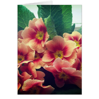 オレンジ色のフラワーカ空白のード