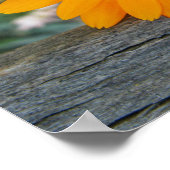 オレンジ色のフラワーポスター ポスター (角)