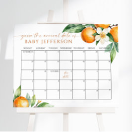 オレンジ色のフローラ赤ちゃんシャワー推定期日カレンダー ポスター