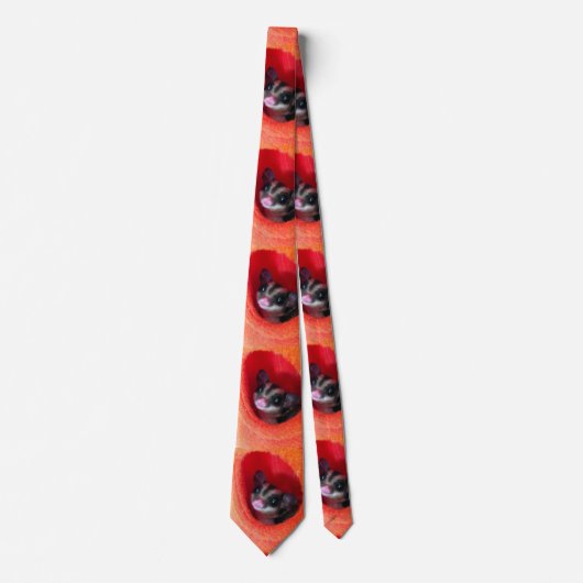 オレンジ色のベッドに砂糖ぶら下がったグライダー ネクタイ (正面)