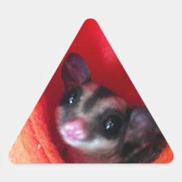 オレンジ色のベッドに砂糖ぶら下がったグライダー 三角形シール