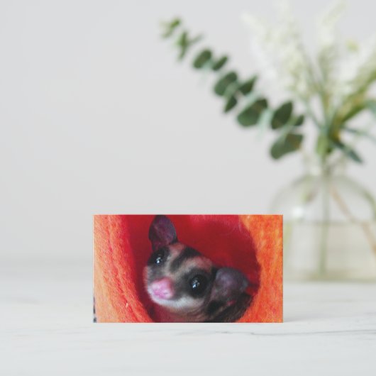 オレンジ色のベッドに砂糖ぶら下がったグライダー 名刺 (スタンド正面)