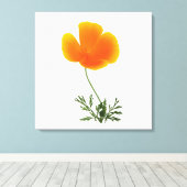 オレンジ色のポピーのキャンバス印刷 キャンバスプリント (インサイチュ (ウッドフロア))