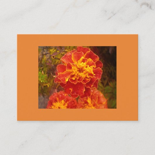 オレンジ色のマリーゴールド 名刺 (正面)