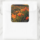 オレンジ色のメキシコの金ゴールドのケシが春に咲く スクエアシール (バッグ)