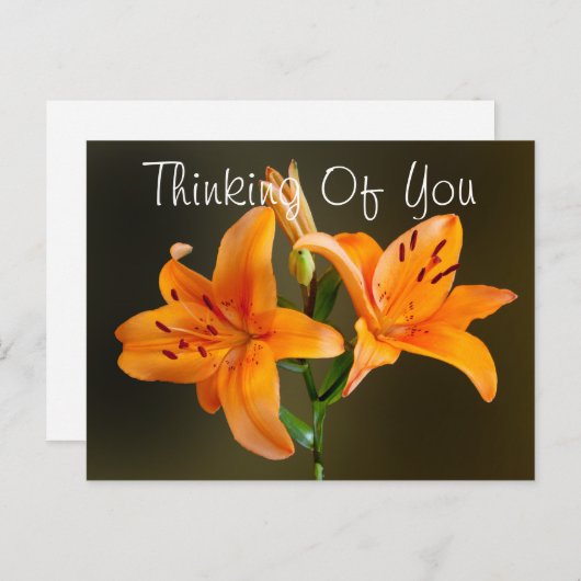 オレンジ色のユリと花芽の写真2枚 ポストカード (正面/裏面)