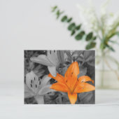 オレンジ色のユリの手色 ポストカード (スタンド正面)