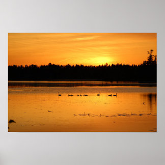 オレンジ色の何か – アヒル ポスター