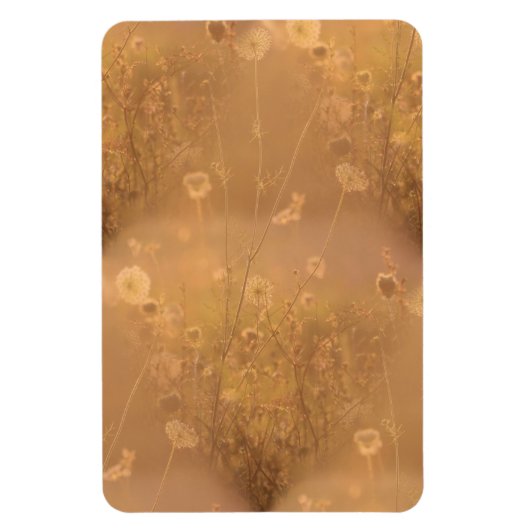 オレンジ色の光を持つ野生の花 マグネット (縦)