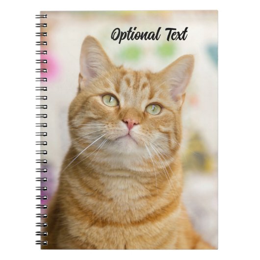 オレンジ色の可愛いトラ猫 ノートブック (正面)