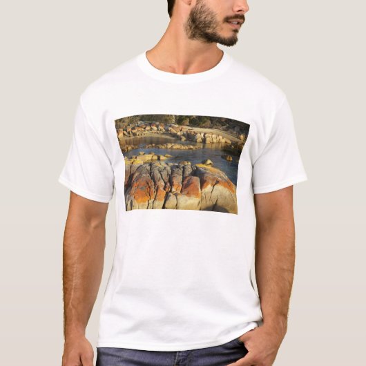 オレンジ色の地衣類と岩、ビナロング湾、 Tシャツ (正面)