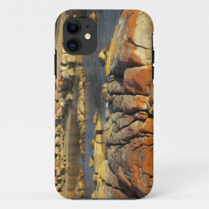 オレンジ色の地衣類と岩、Binalong Bay、 iPhone 11 ケース