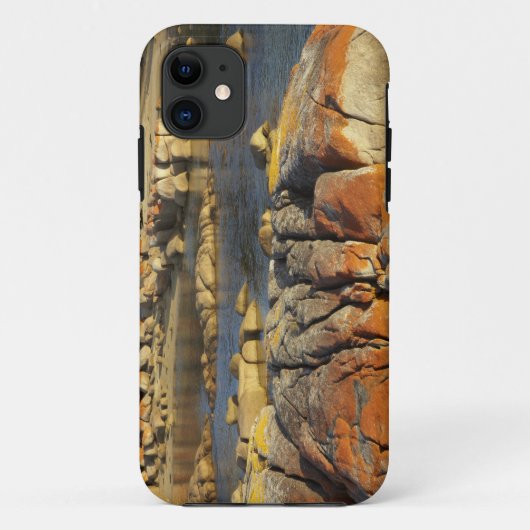 オレンジ色の地衣類と岩、Binalong Bay、 Case-Mate iPhoneケース (裏面)