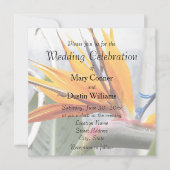 オレンジ色の天国鳥の花のウェディング 招待状 (正面)