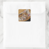 オレンジ色の子猫がベッドに入る スクエアシール (バッグ)