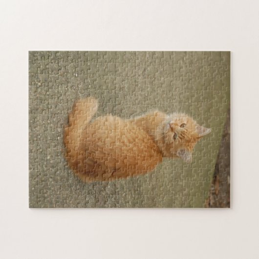 オレンジ色の子猫のかわいい写真 ジグソーパズル (横)