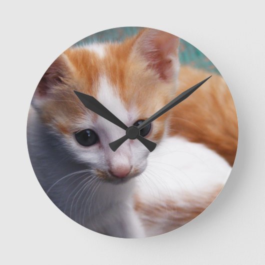 オレンジ色の子猫の写真 ラウンド壁時計 (正面)