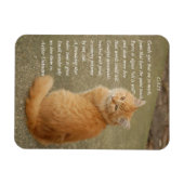 オレンジ色の子猫の詩の写真 マグネット (横)