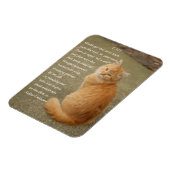 オレンジ色の子猫の詩の写真 マグネット (左側)