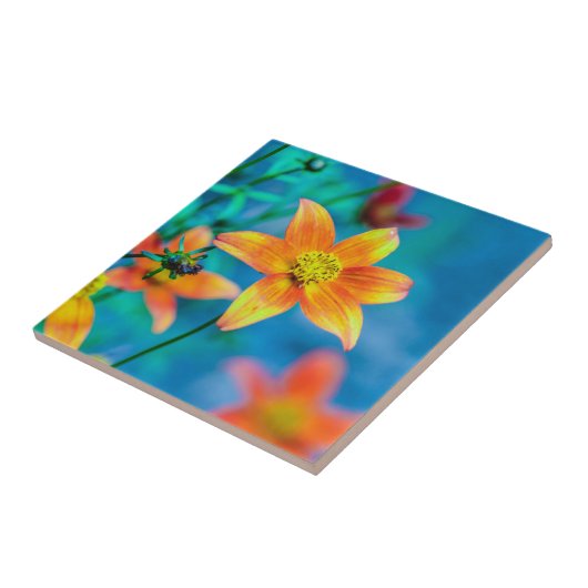 オレンジ色の星花 タイル (側面)