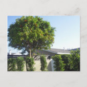 オレンジ色の木はがき ポストカード (正面)