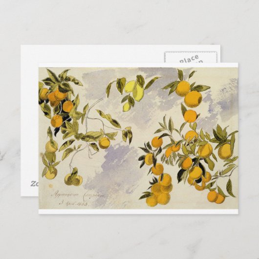 オレンジ色の木、1863 （グラファイトの上にペンとインク） ポストカード (正面/裏面)