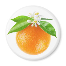 オレンジ色の果物と花