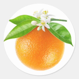 オレンジ色の果物と花 ラウンドシール
