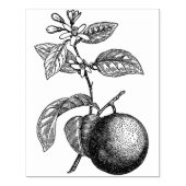 オレンジ色の枝に花が ラバースタンプ (インプリント)