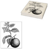 オレンジ色の枝に花が ラバースタンプ (押印)