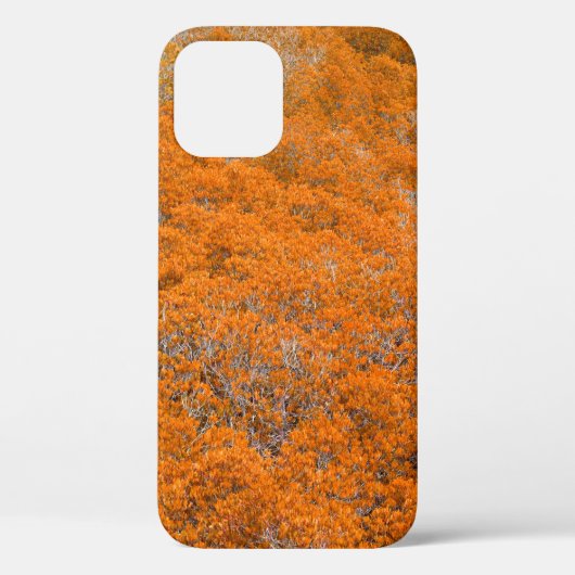 オレンジ色の森林ビュー。オレンジ色の葉の背景。秋 Case-Mate iPhoneケース (裏面)