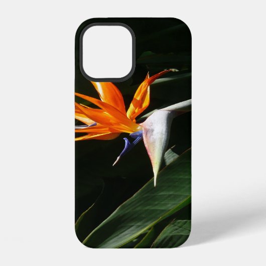 オレンジ色の極楽鳥の花 iPhoneケース (裏面)