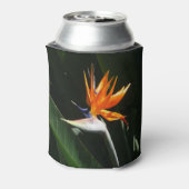 オレンジ色の極楽鳥花 缶クーラー (缶裏面)