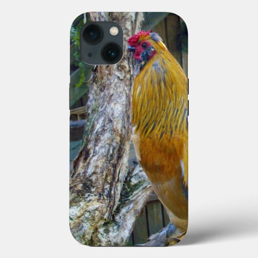 オレンジ色の毛の生えたオンドリ Case-Mate iPhoneケース (裏面)