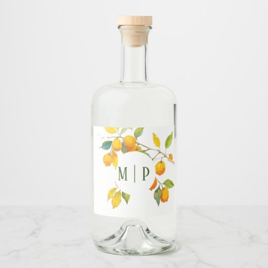 オレンジ色の水色テーマ明るい色 リキュールボトルラベル (正面)