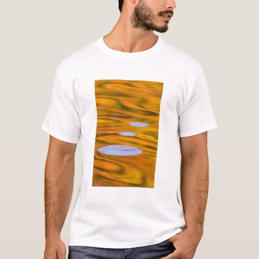 オレンジ色の水面のスイレン、カナダ Tシャツ (正面)
